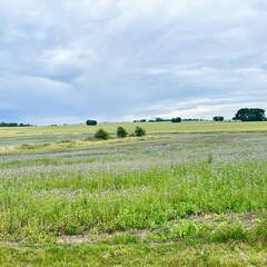 24-07-01 13-00-52 0068